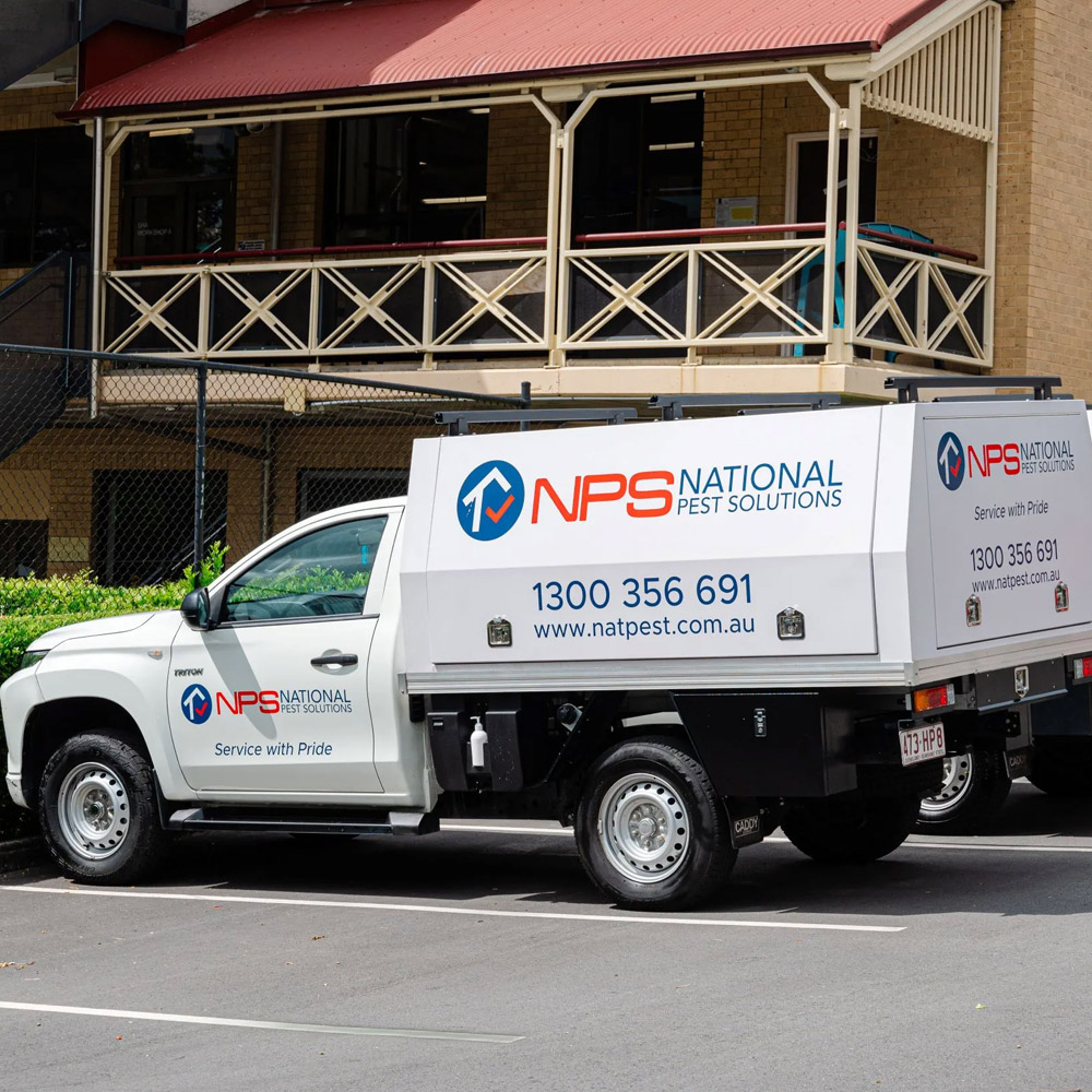 National Pest Solutions